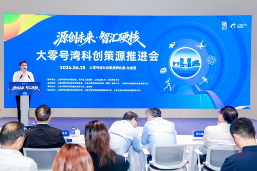 高校硬科技孵化模式再升级 大零号湾科创策源孵化器加速营启航，帮帮创新科技领航新范式